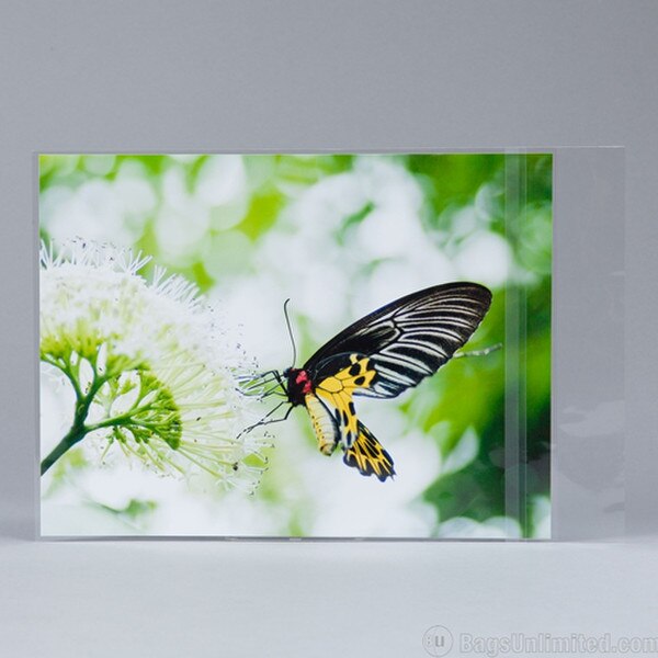 9 x 12 Print Resealable Sleeves